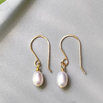 Fresh Water AAA Grade Pearl Earrings in Gold