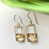 Gold Frame Smokey Crystal Earrings