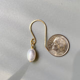 Fresh Water AAA Grade Pearl Earrings in Gold