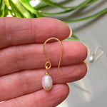 Fresh Water AAA Grade Pearl Earrings in Silver